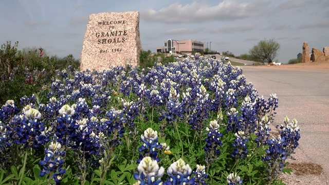 Bluebonnets 1 by Ricardo Guillen at entry to City Hall taken March 31 2015